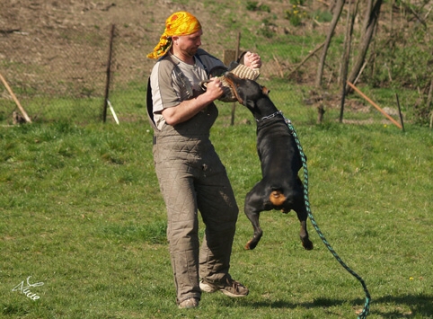 Santa Julf Efrat - training 4. 4. 2007